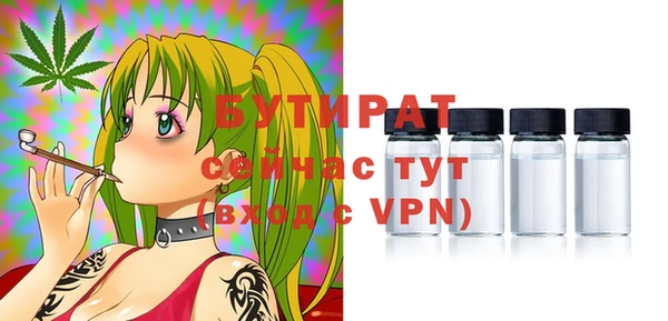 индика Богородск