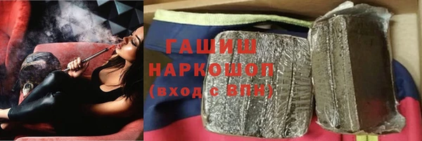индика Богородск