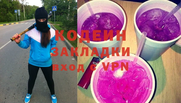 индика Богородск
