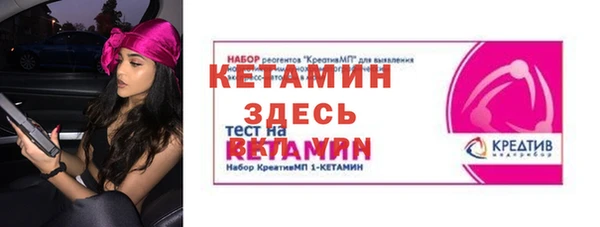 индика Богородск