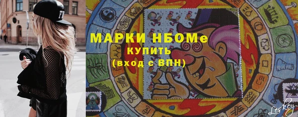 индика Богородск