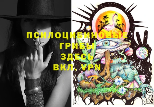 гашиш Богородицк