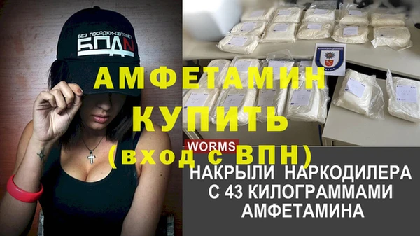 эйфоретик Богданович