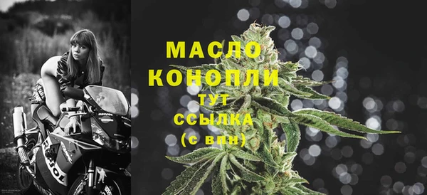 индика Богородск