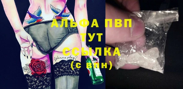 индика Богородск