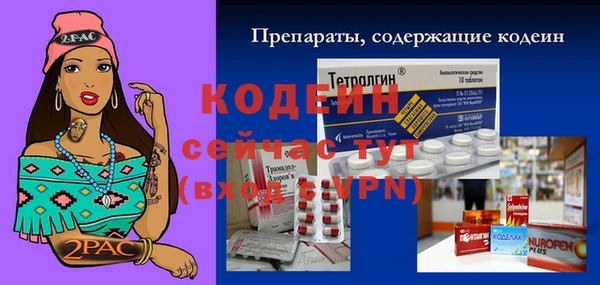 эйфоретик Богданович