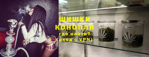 индика Богородск