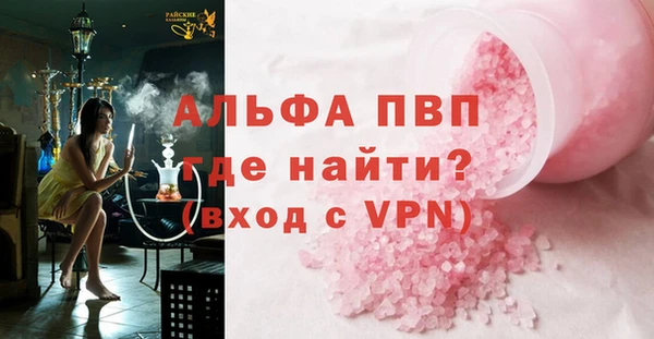 индика Богородск